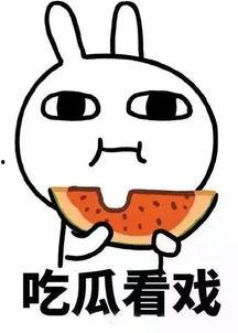 吃瓜娱乐污下载,带你走进网络迷雾中的秘密世界