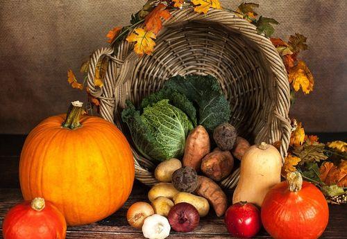 娱乐吃瓜酱买菜